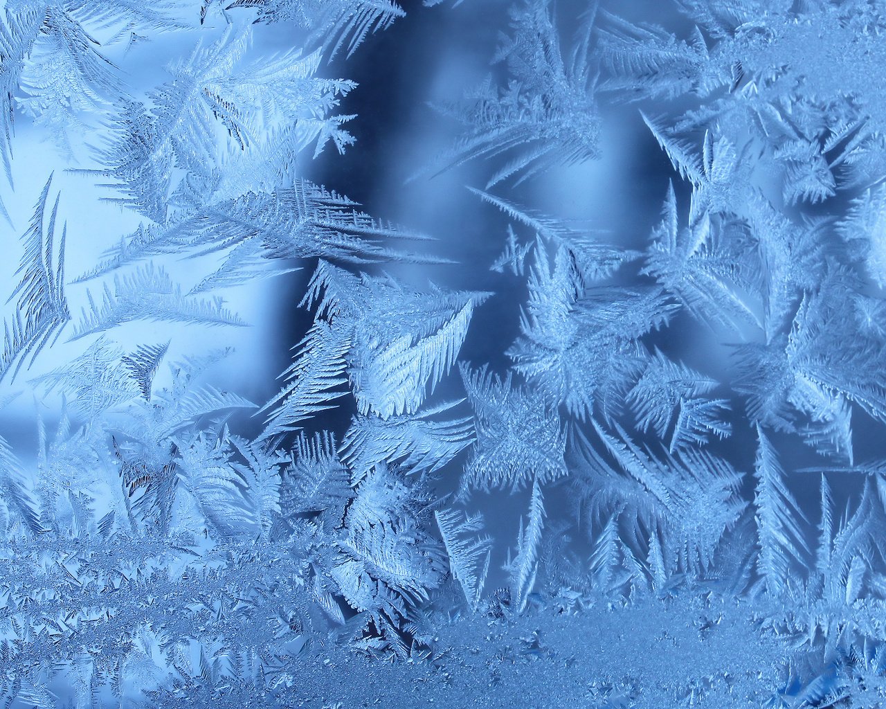 Обои зима, иней, окно, морозно, замерзла, winter, frost, window, frosty, frozen разрешение 2560x1600 Загрузить