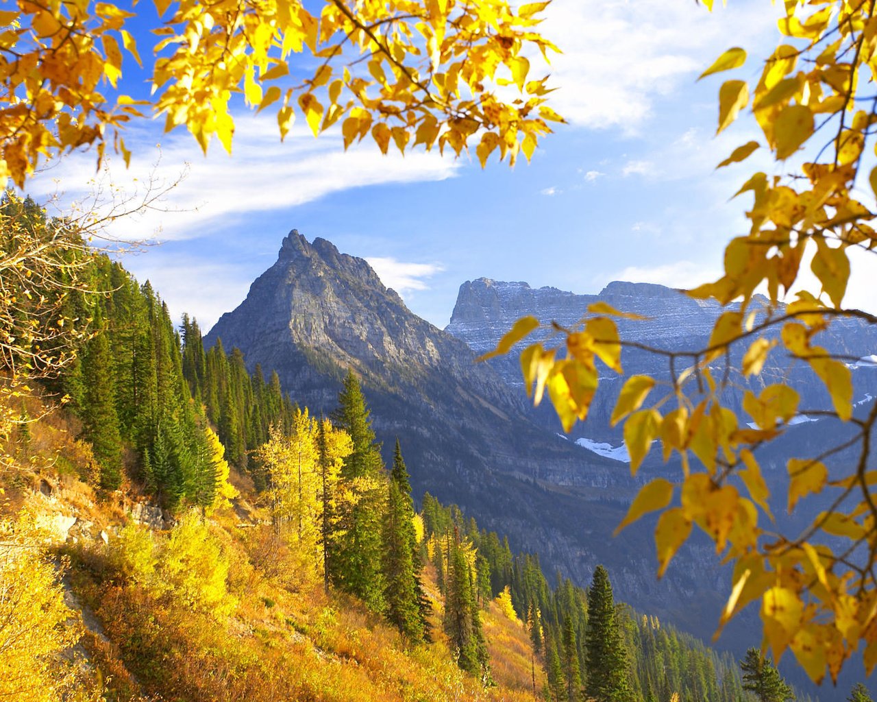 Обои горы, природа, лес, осень, монтана, желтая листва, mountains, nature, forest, autumn, montana, yellow foliage разрешение 1920x1080 Загрузить