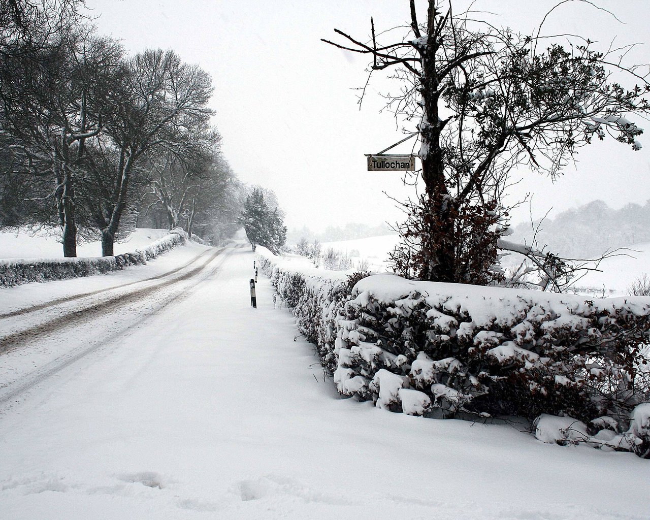 Обои дорога, снег, зима, road, snow, winter разрешение 2560x1600 Загрузить