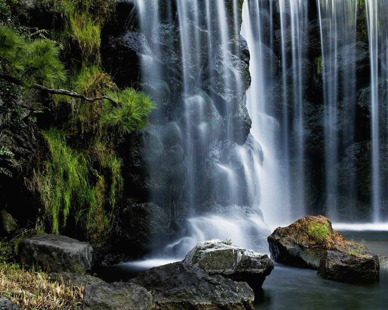 Обои камни, хвоя, водопад, поток, stones, needles, waterfall, stream разрешение 1920x1200 Загрузить