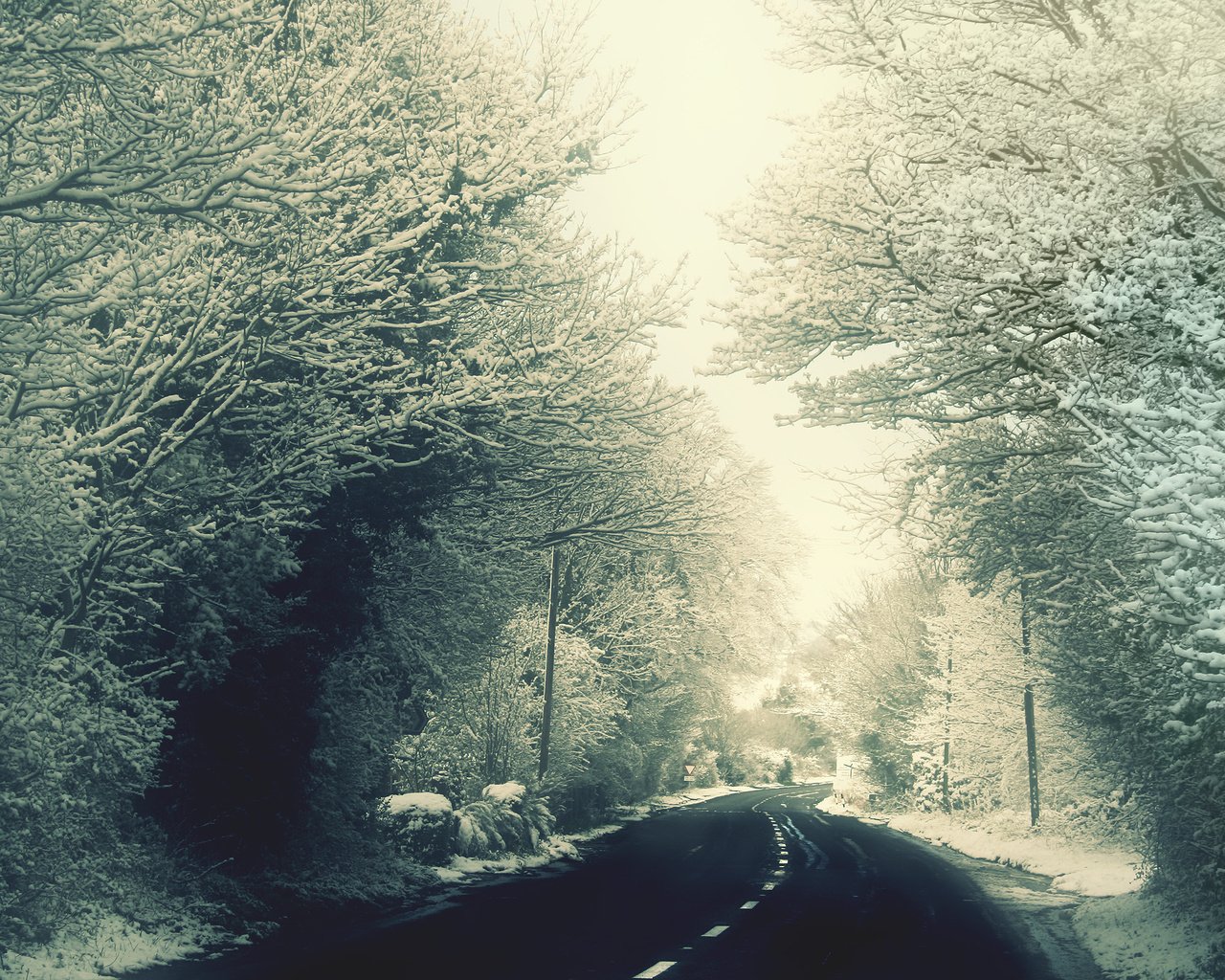 Обои дорога, деревья, снег, зима, ветки, мороз, иней, road, trees, snow, winter, branches, frost разрешение 2560x1600 Загрузить