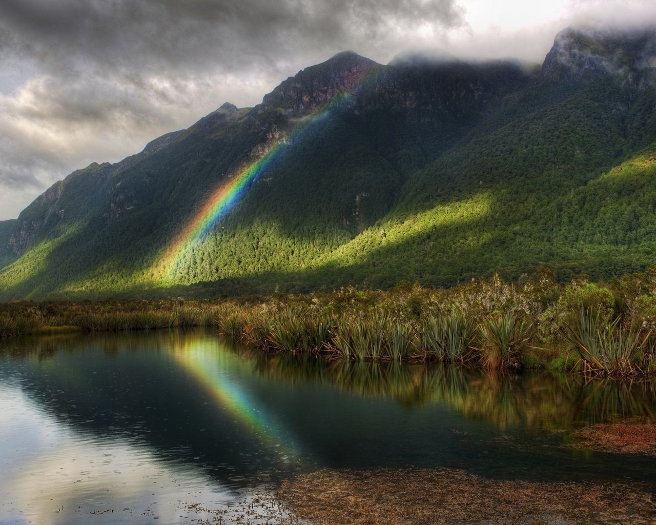 Обои деревья, радуга, водоем, дождь, trees, rainbow, pond, rain разрешение 2560x1600 Загрузить