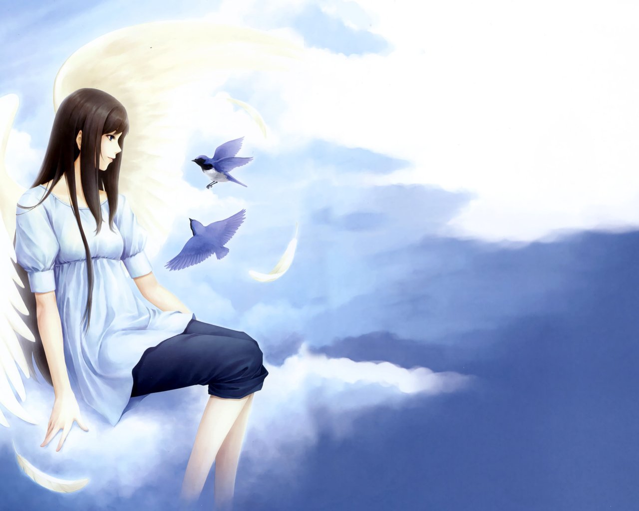 Обои облака, девушка, птицы, нежность, kara no shoujo, clouds, girl, birds, tenderness разрешение 2560x1600 Загрузить