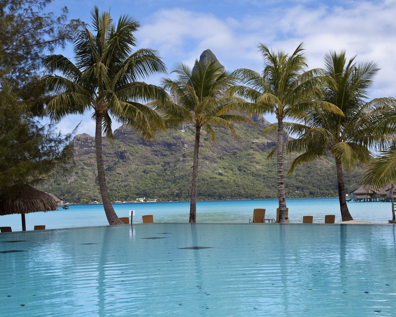 Обои облака, пальмы, бассейн, прибрежье, clouds, palm trees, pool, the coast разрешение 2560x1600 Загрузить