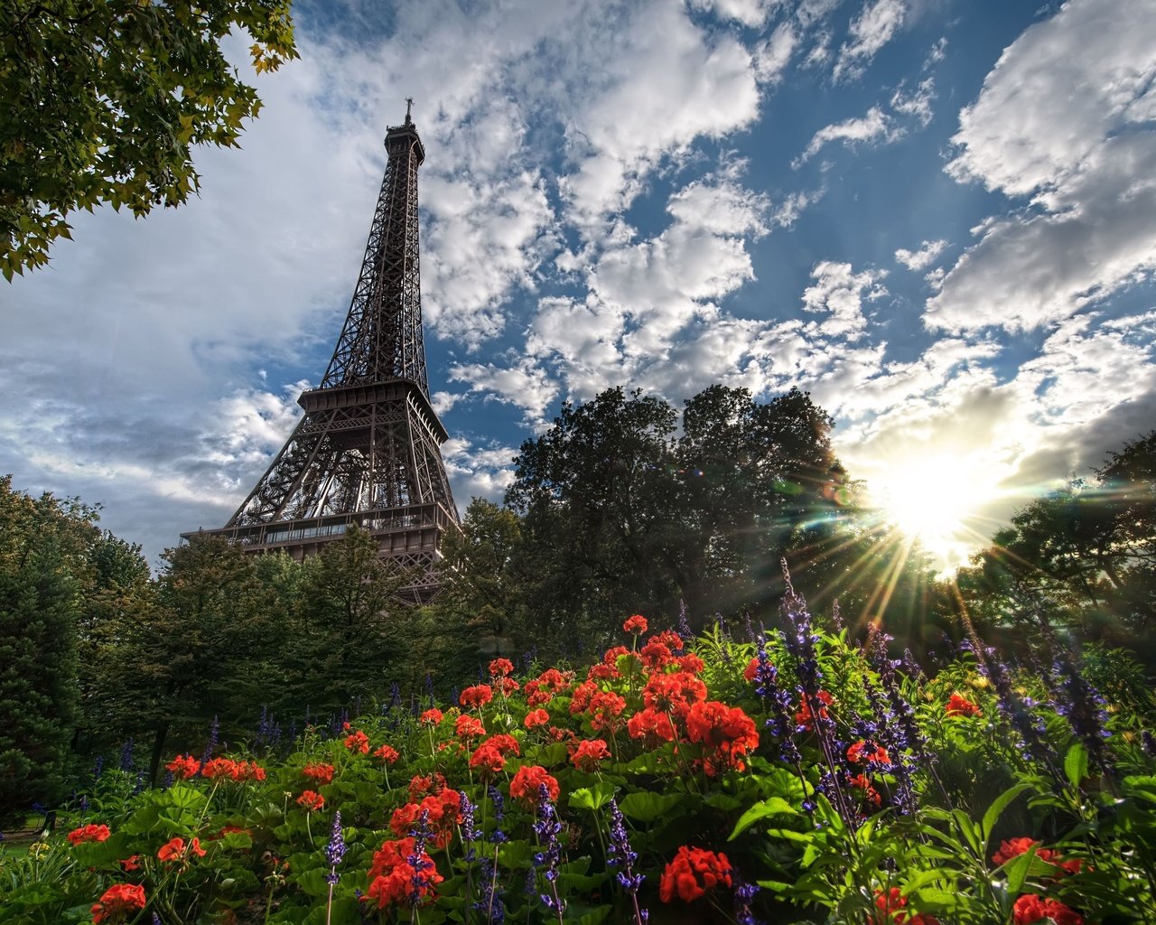 Обои цветы, деревья, солнце, париж, эйфелева башня, flowers, trees, the sun, paris, eiffel tower разрешение 4928x3352 Загрузить