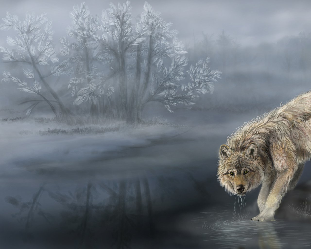 Обои туман, волк, водопой, шерсть. хищник, fog, wolf, drink, wool. predator разрешение 3000x2000 Загрузить