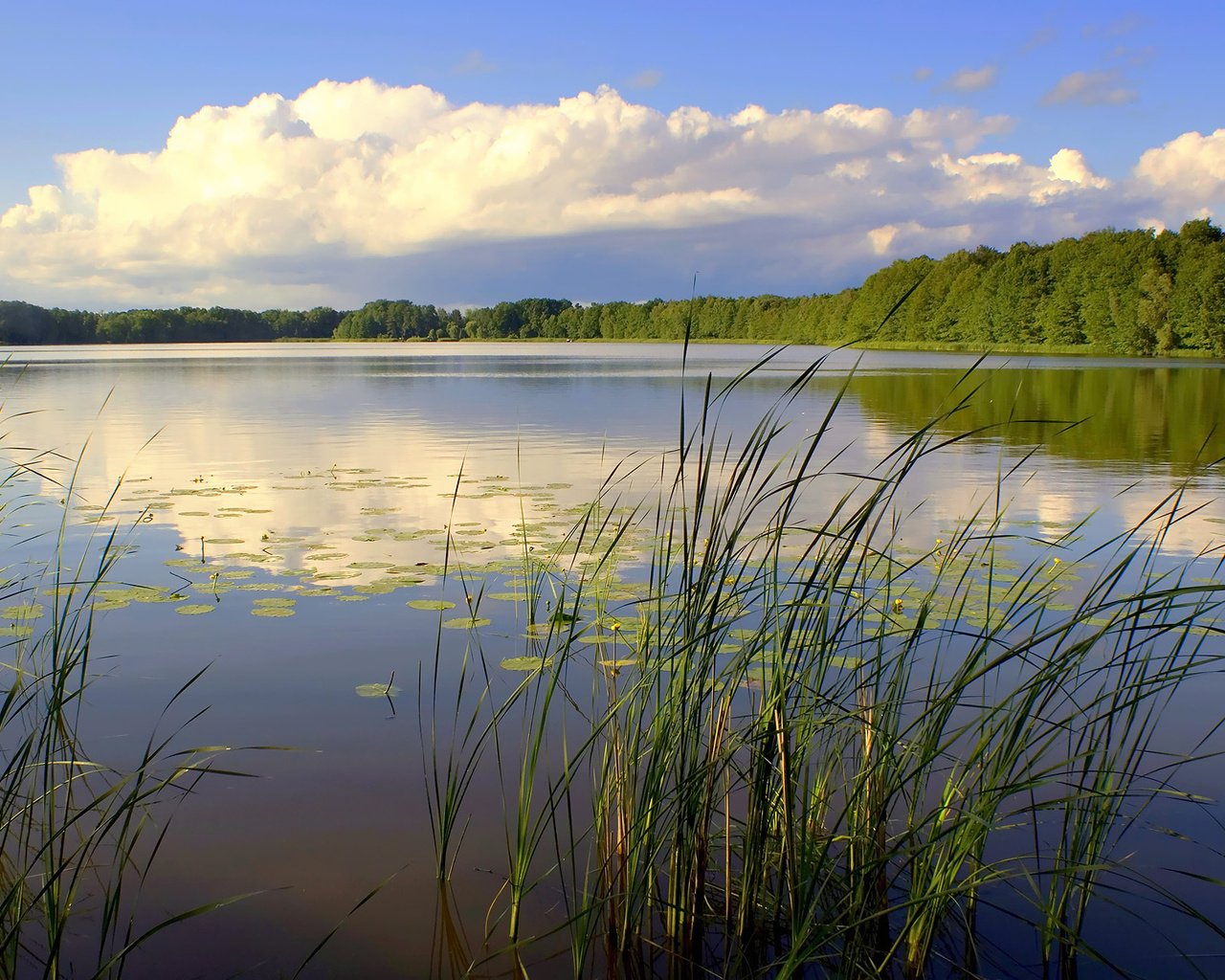 Обои небо, река, природа, лес, пейзаж, the sky, river, nature, forest, landscape разрешение 1920x1200 Загрузить