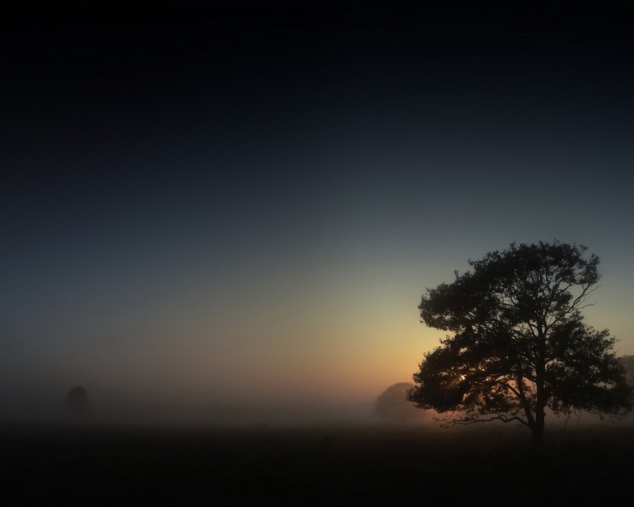 Обои дерево, утро, туман, tree, morning, fog разрешение 1920x1200 Загрузить