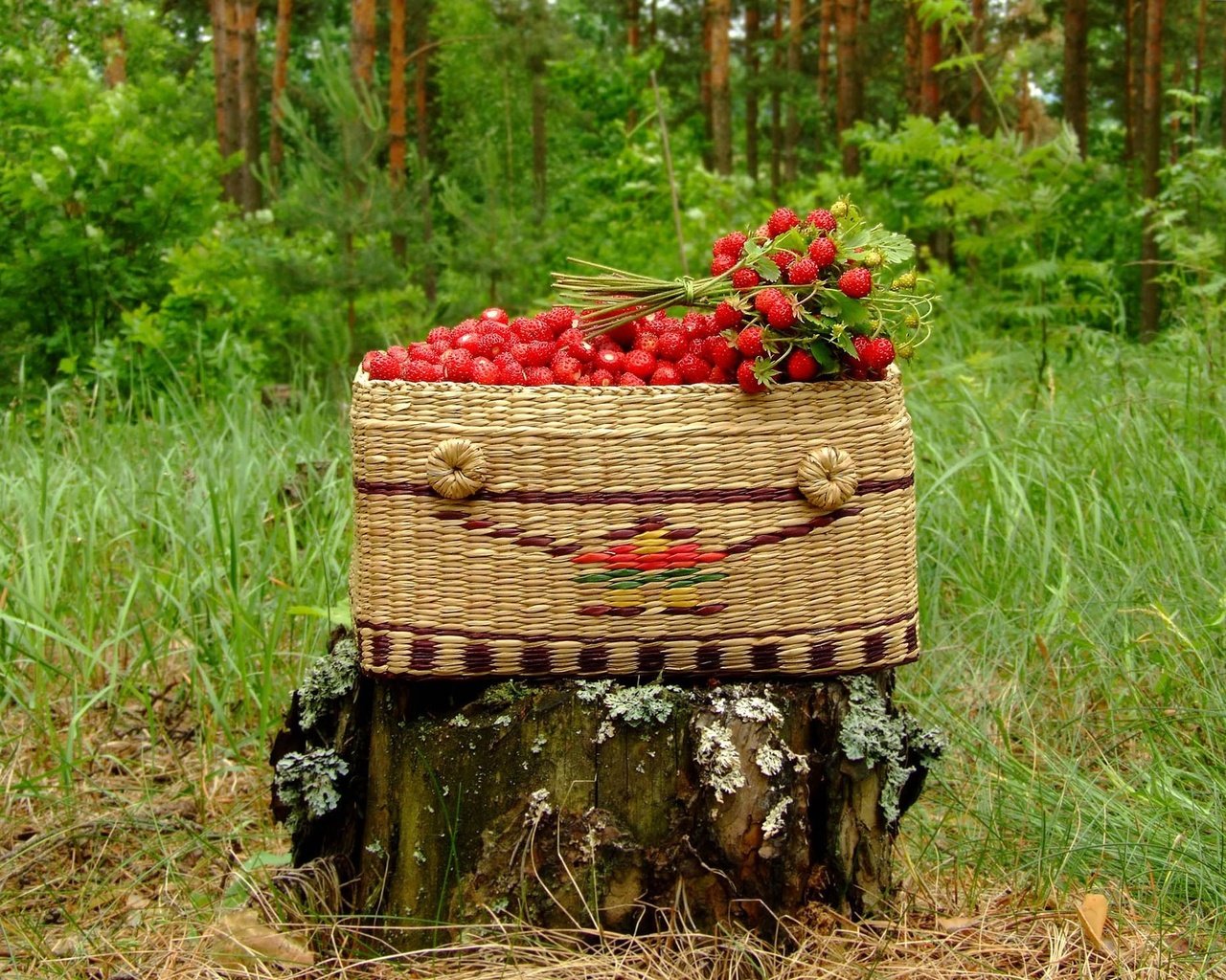 Обои корзина, пень, земляника, basket, stump, strawberries разрешение 1920x1440 Загрузить