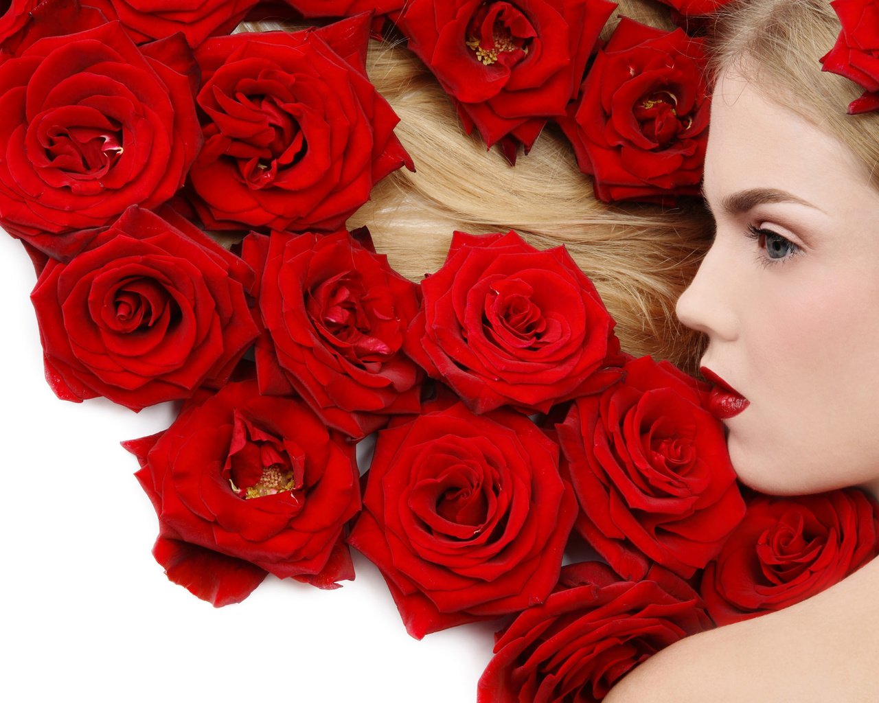 Обои цветы, девушка, блондинка, роза, красный, flowers, girl, blonde, rose, red разрешение 2560x1600 Загрузить