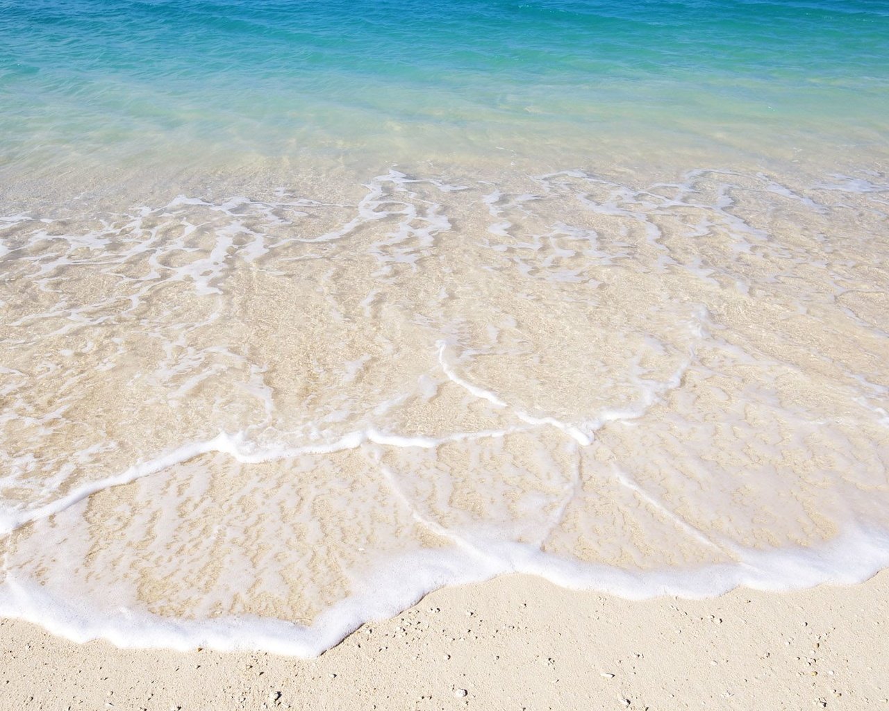 Обои вода, песок, пляж, океан, прибой, пена, water, sand, beach, the ocean, surf, foam разрешение 1920x1200 Загрузить