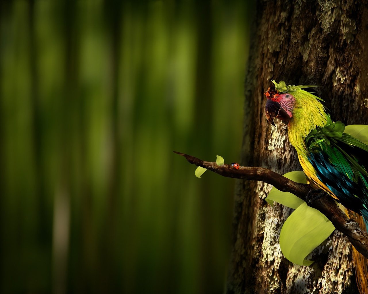 Обои ветка, жук, попугай, branch, beetle, parrot разрешение 2560x1600 Загрузить