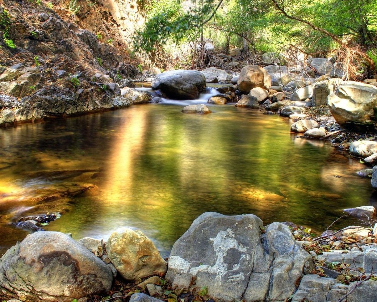 Обои камни, лес, ручей, stones, forest, stream разрешение 1920x1080 Загрузить