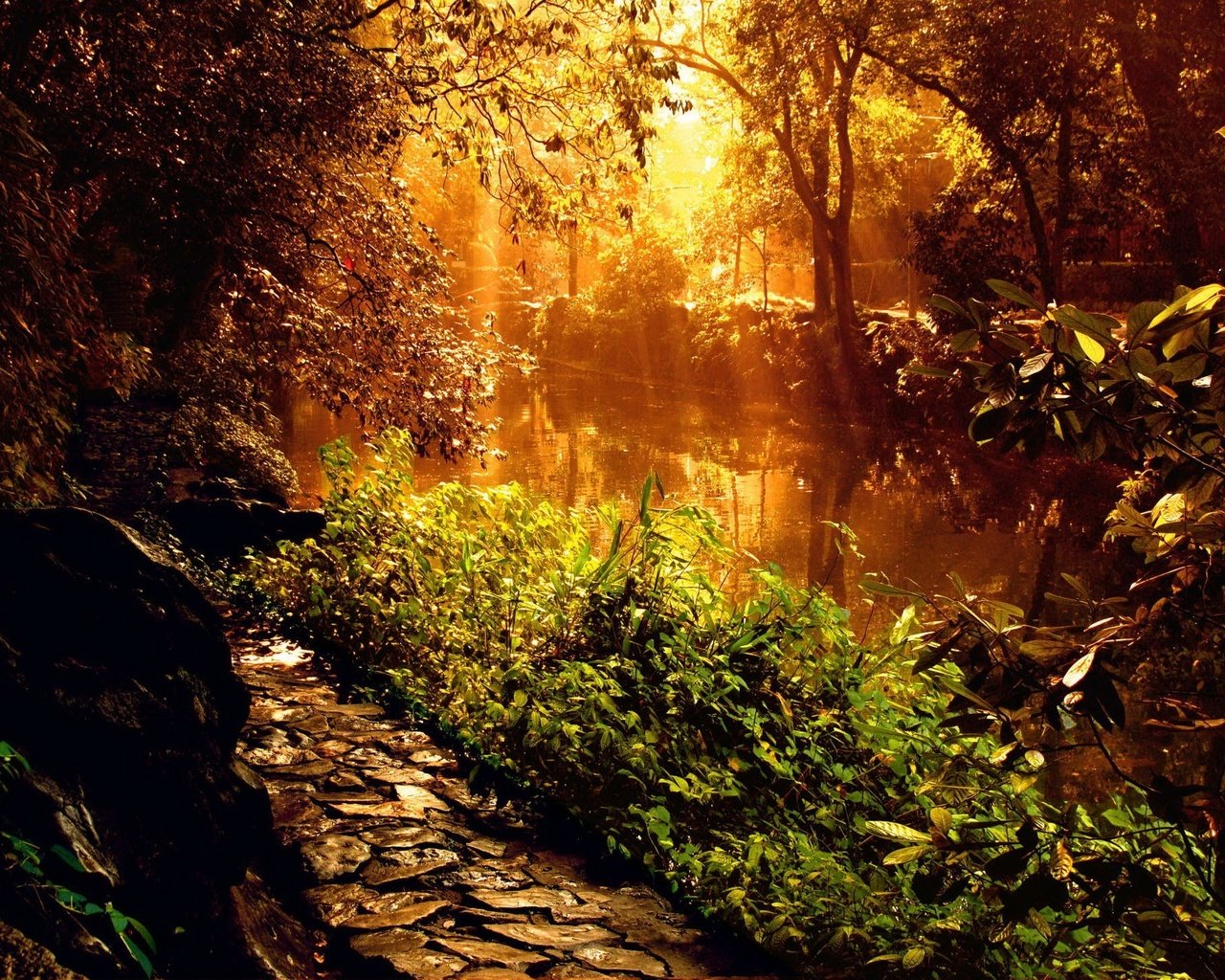 Обои свет, река, растения, light, river, plants разрешение 1920x1440 Загрузить