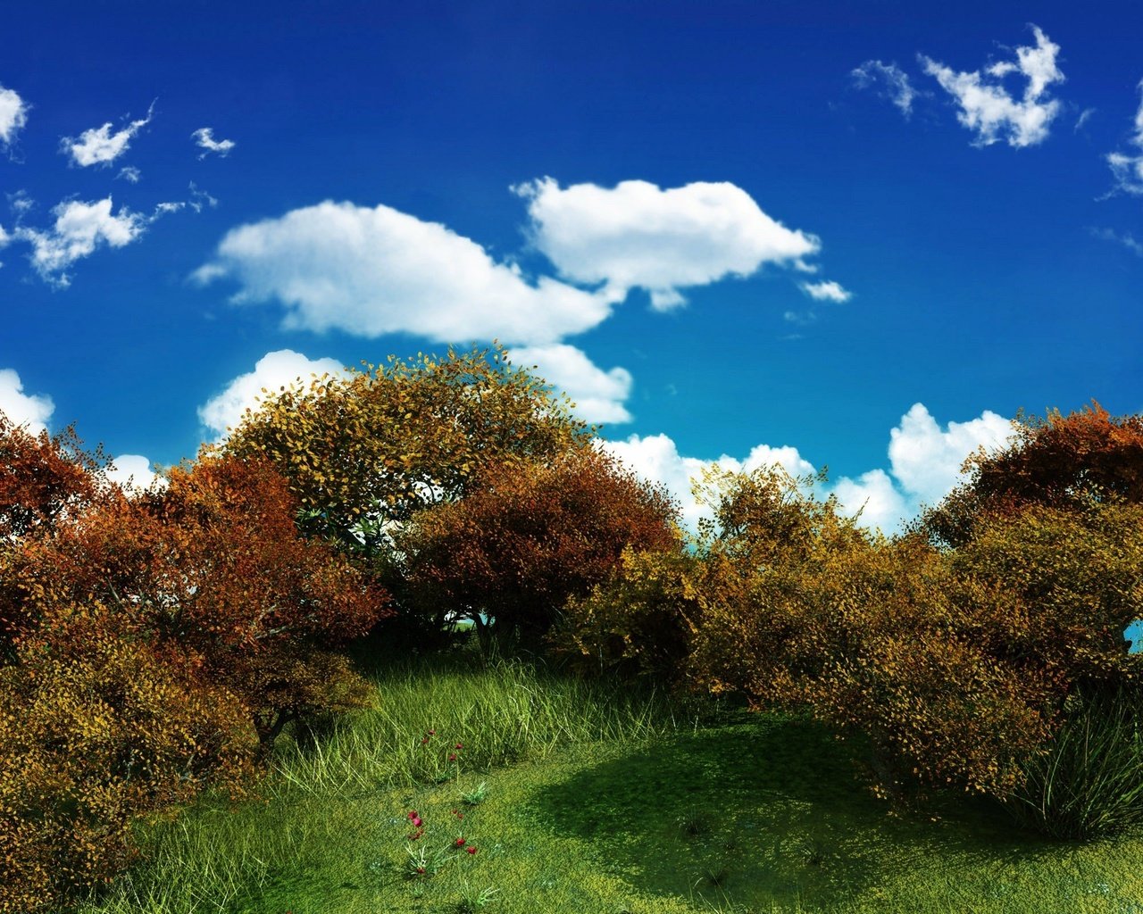 Обои небо, облака, зелень, куст, the sky, clouds, greens, bush разрешение 2560x1600 Загрузить