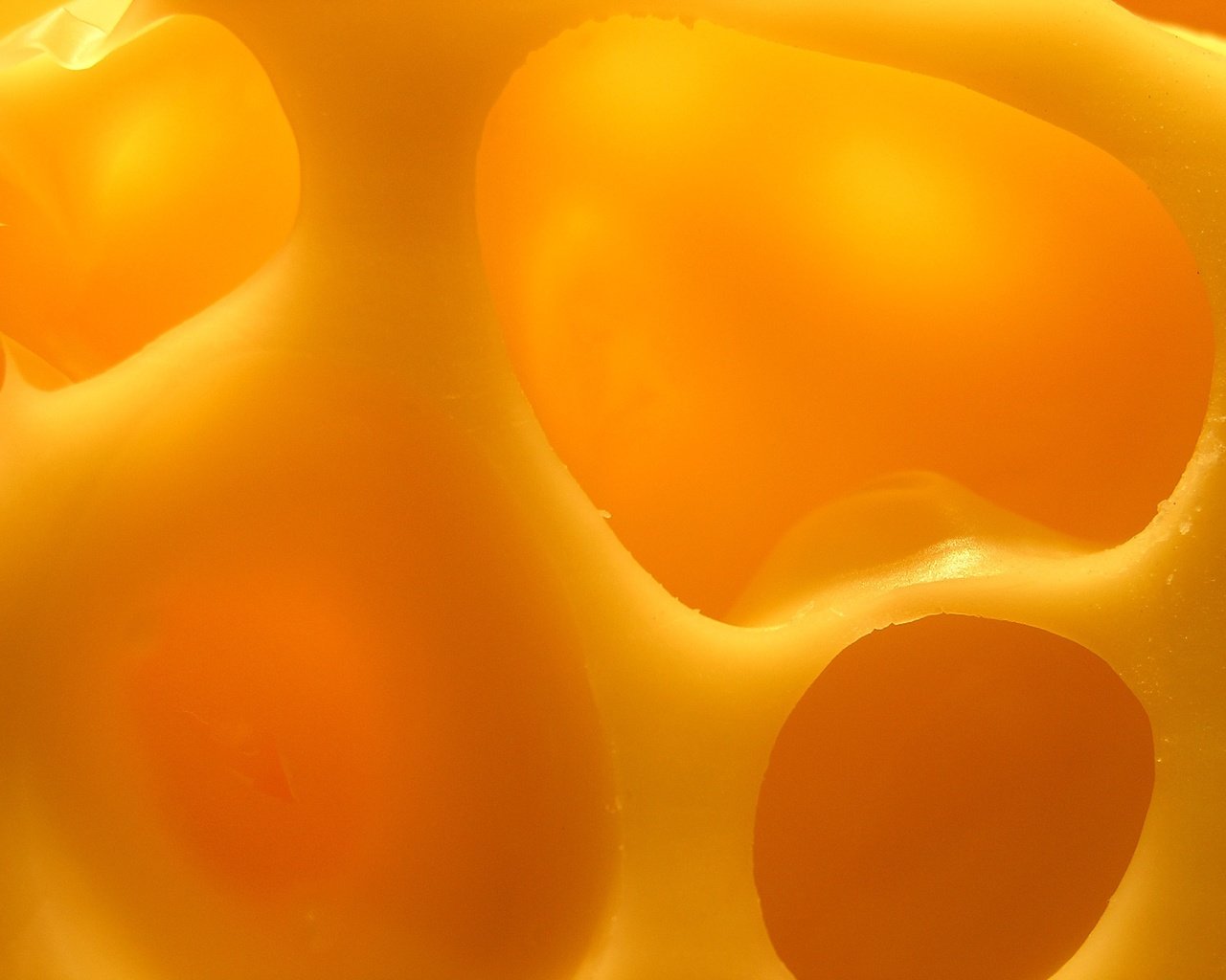 Обои желтый, сыр, дырки, yellow, cheese, holes разрешение 3264x2448 Загрузить