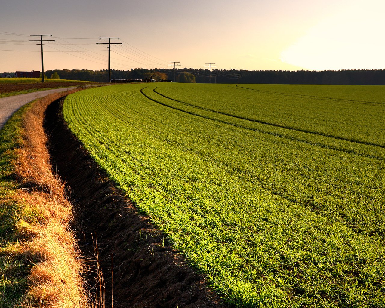 Обои небо, дорога, поле, the sky, road, field разрешение 2560x1600 Загрузить