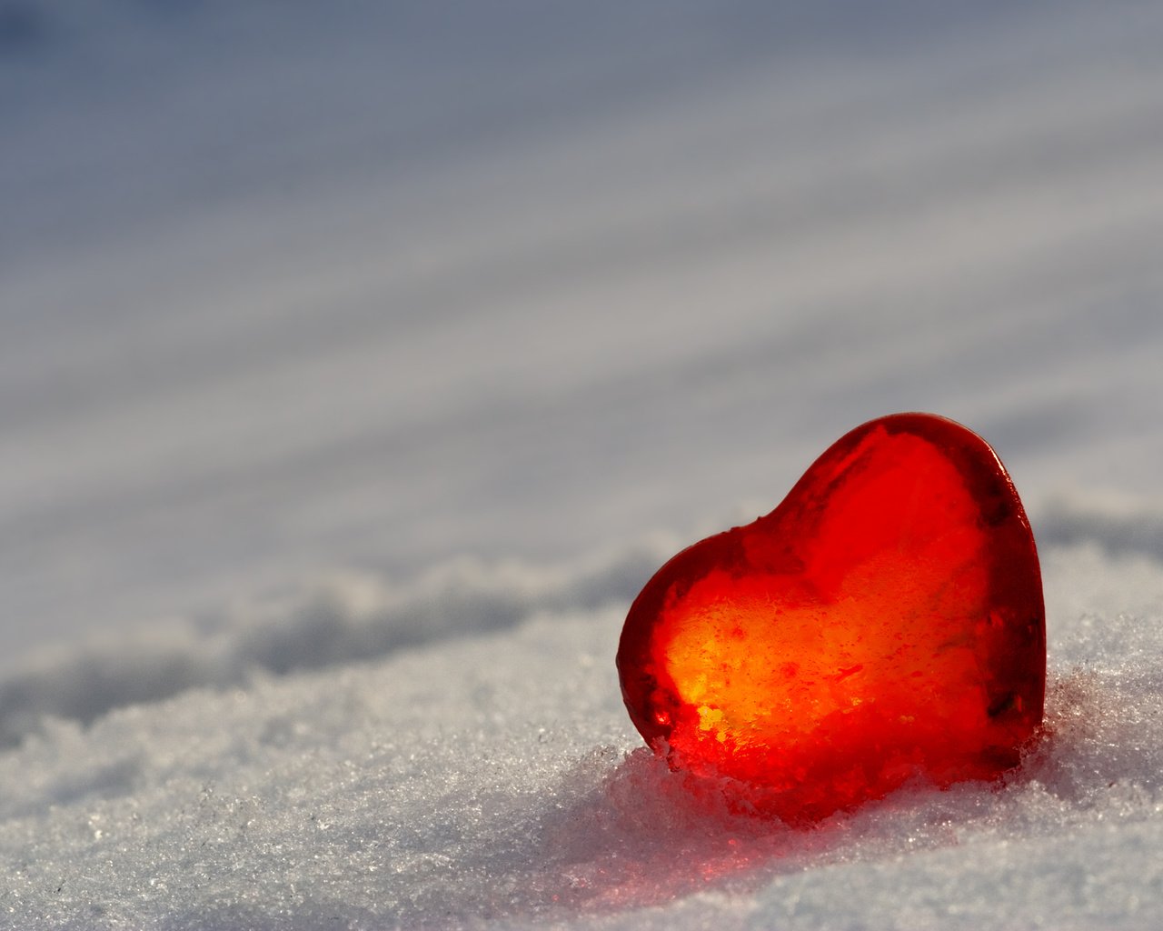 Обои снег, лёд, сердце, snow, ice, heart разрешение 2560x1600 Загрузить