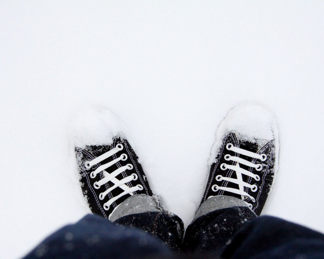 Обои снег, кеды, обувь, snow, sneakers, shoes разрешение 2560x1707 Загрузить