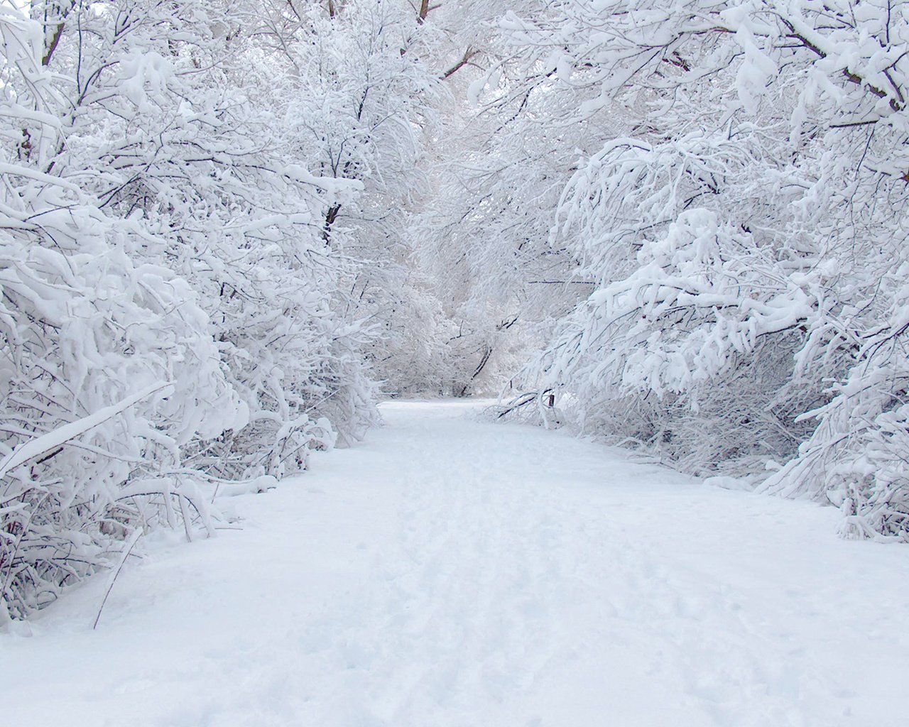 Обои дорога, снег, зима, road, snow, winter разрешение 1920x1280 Загрузить