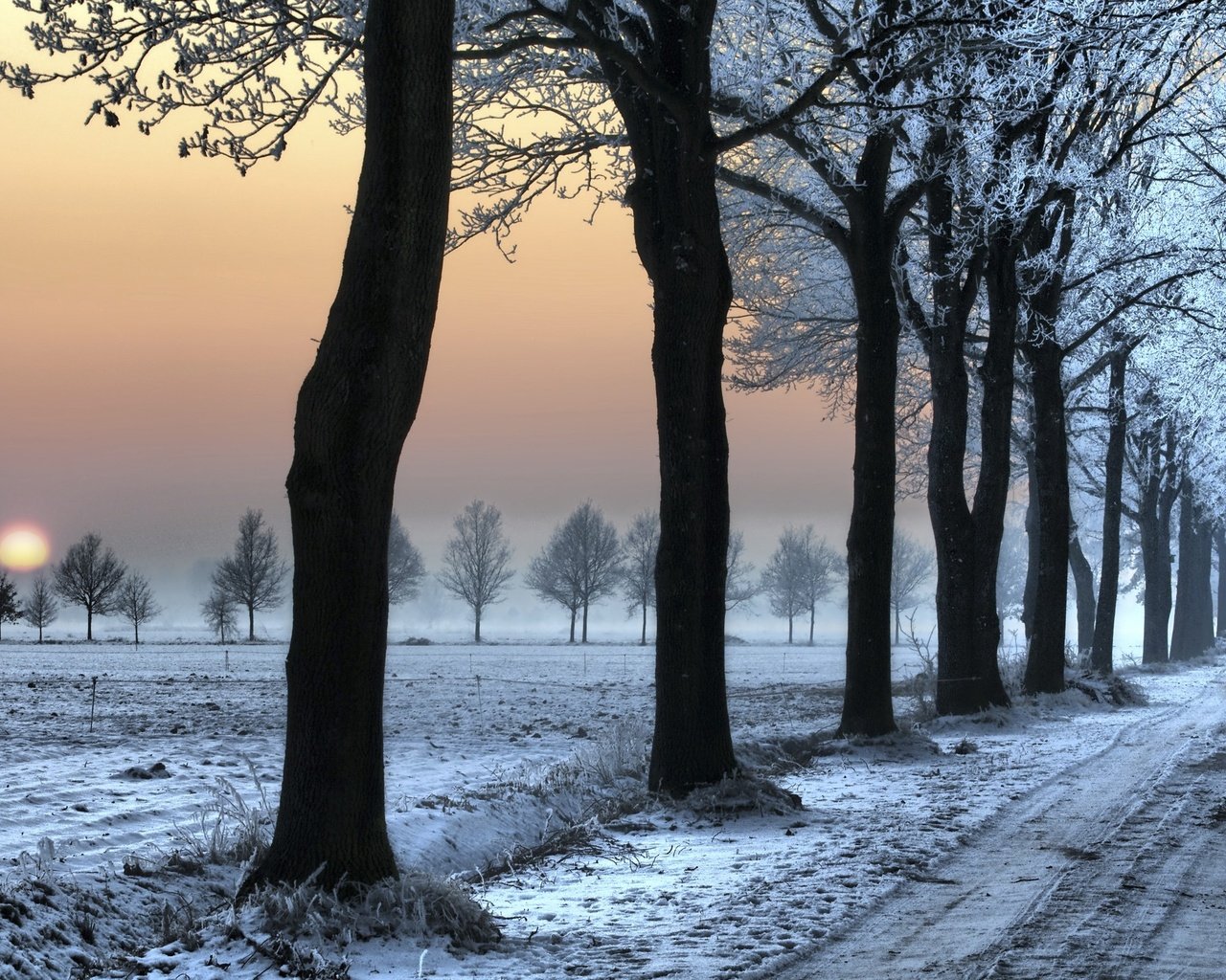 Обои дорога, снег, зима, следы, деревь, road, snow, winter, traces, trees разрешение 2560x1600 Загрузить