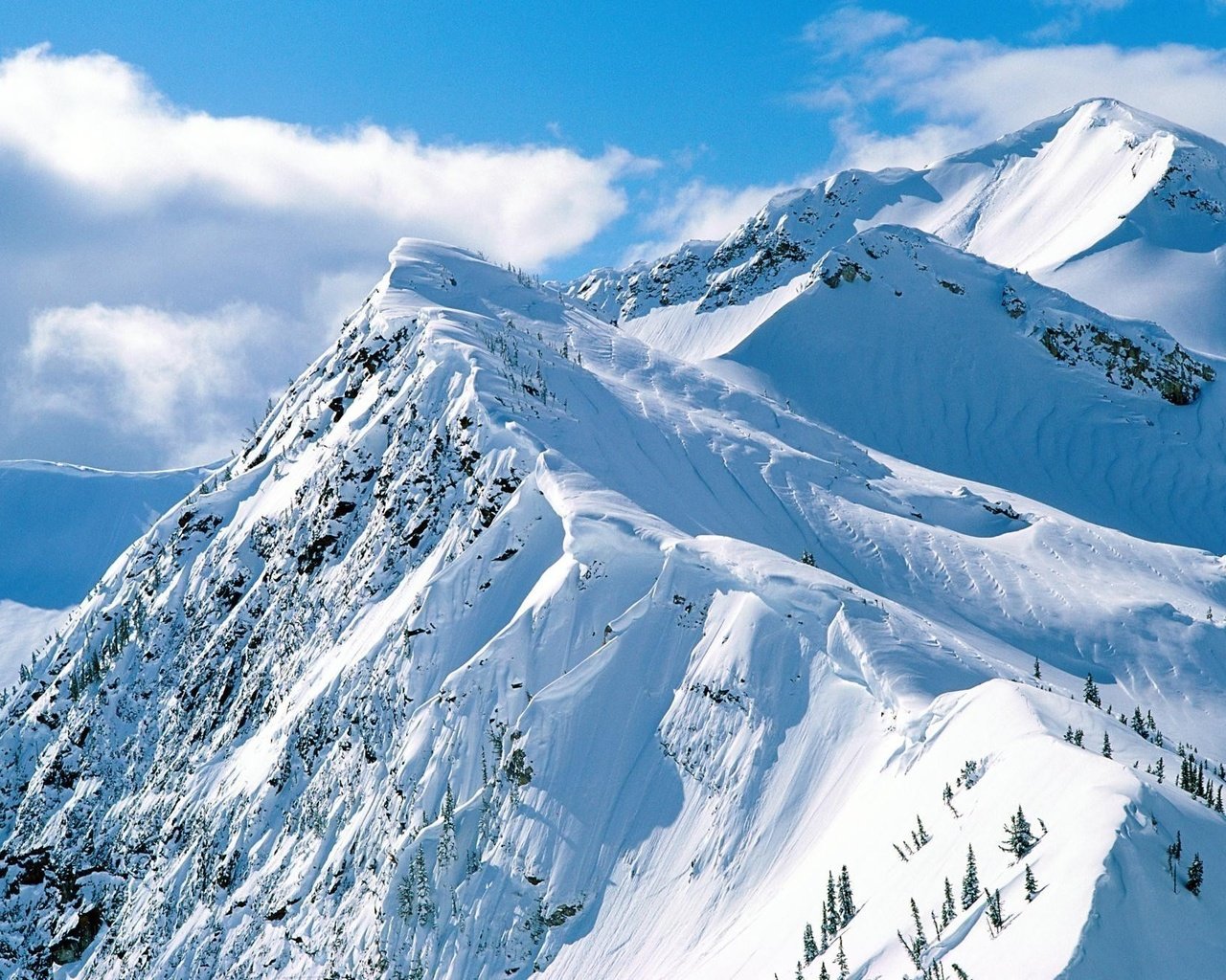 Обои небо, деревья, горы, скалы, снег, склон, the sky, trees, mountains, rocks, snow, slope разрешение 1999x1333 Загрузить