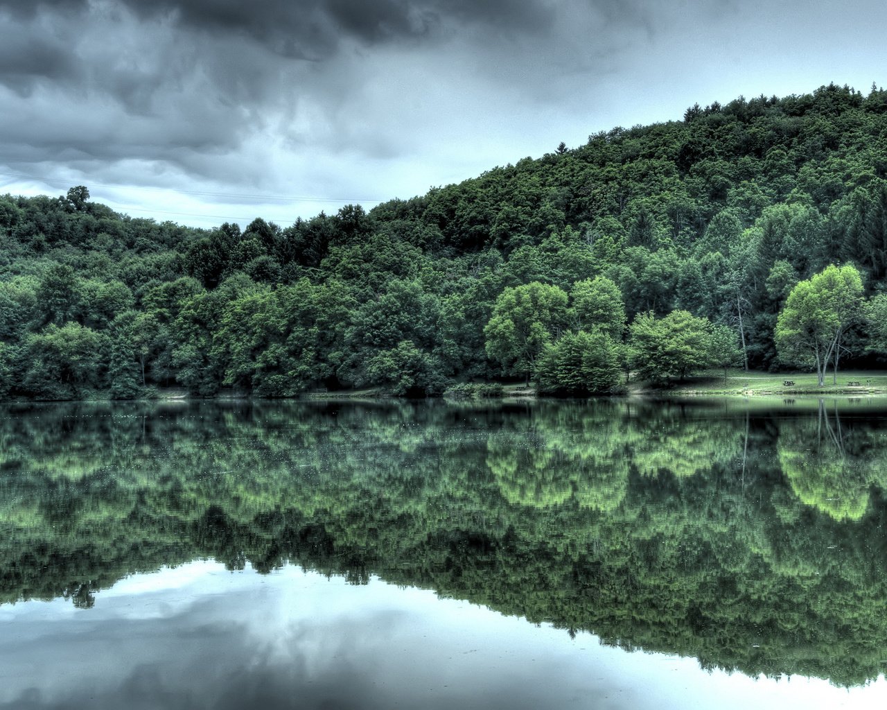 Обои вода, лес, отражение, water, forest, reflection разрешение 2560x1600 Загрузить