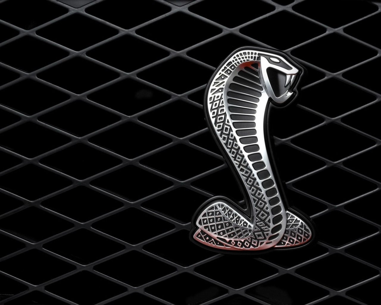 Обои металл, змея, решетка, metal, snake, grille разрешение 1920x1440 Загрузить