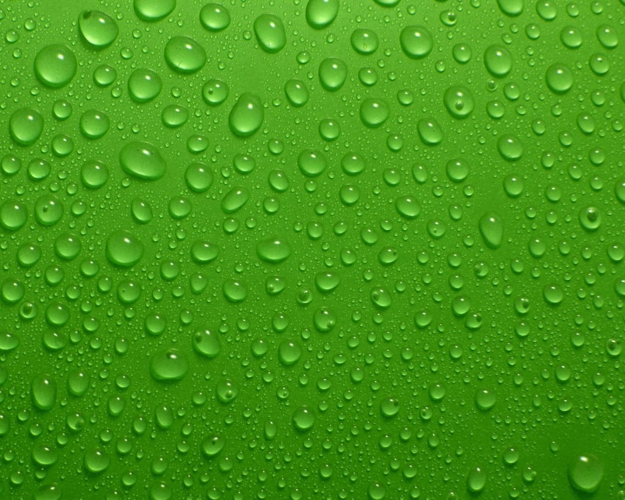 Обои зелёный, фон, капли, капли воды, green, background, drops, water drops разрешение 1920x1200 Загрузить