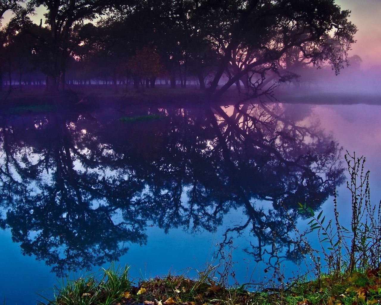 Обои деревья, река, лес, закат, отражение, trees, river, forest, sunset, reflection разрешение 1920x1200 Загрузить