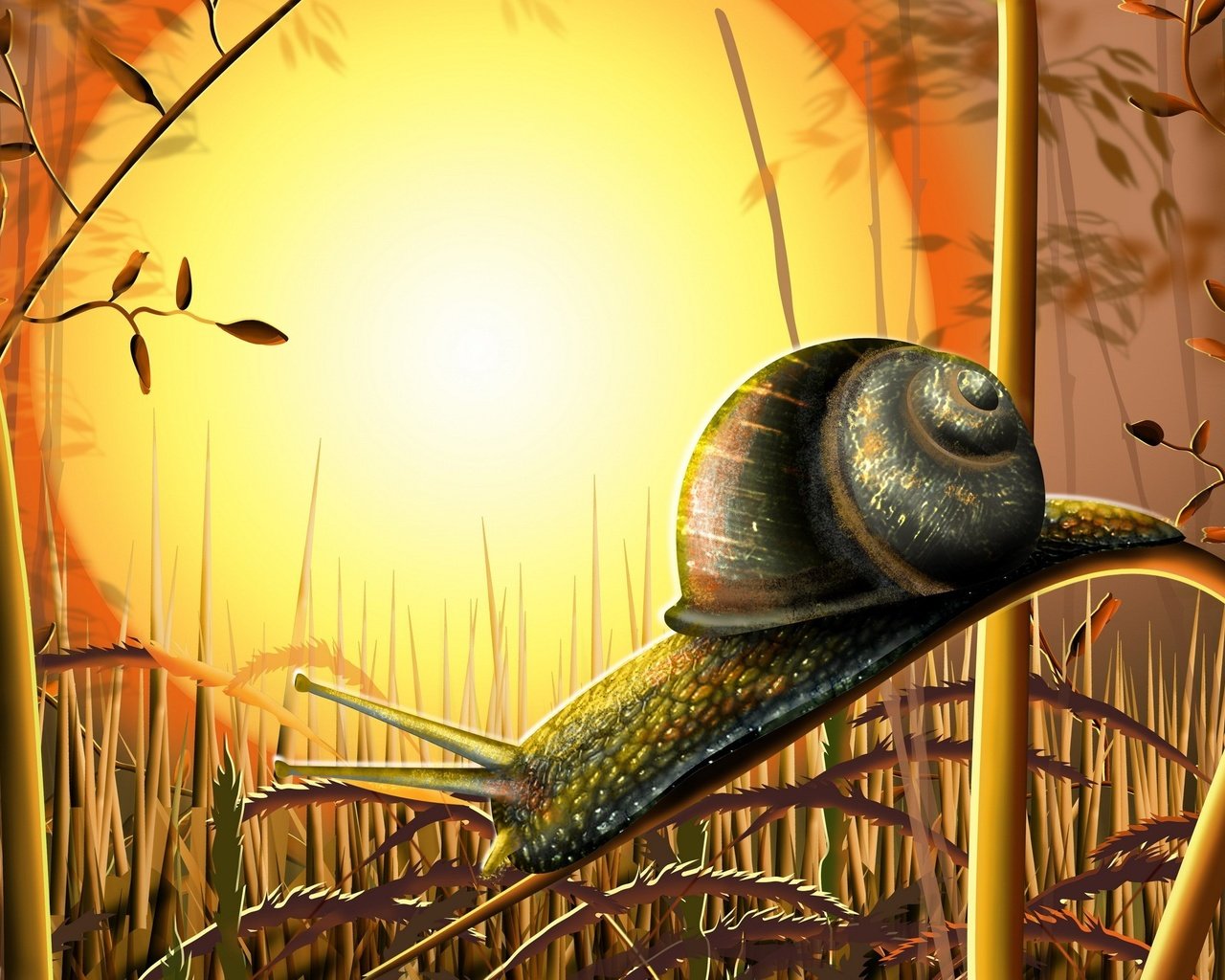 Обои трава, солнце, улитка, grass, the sun, snail разрешение 2400x1565 Загрузить