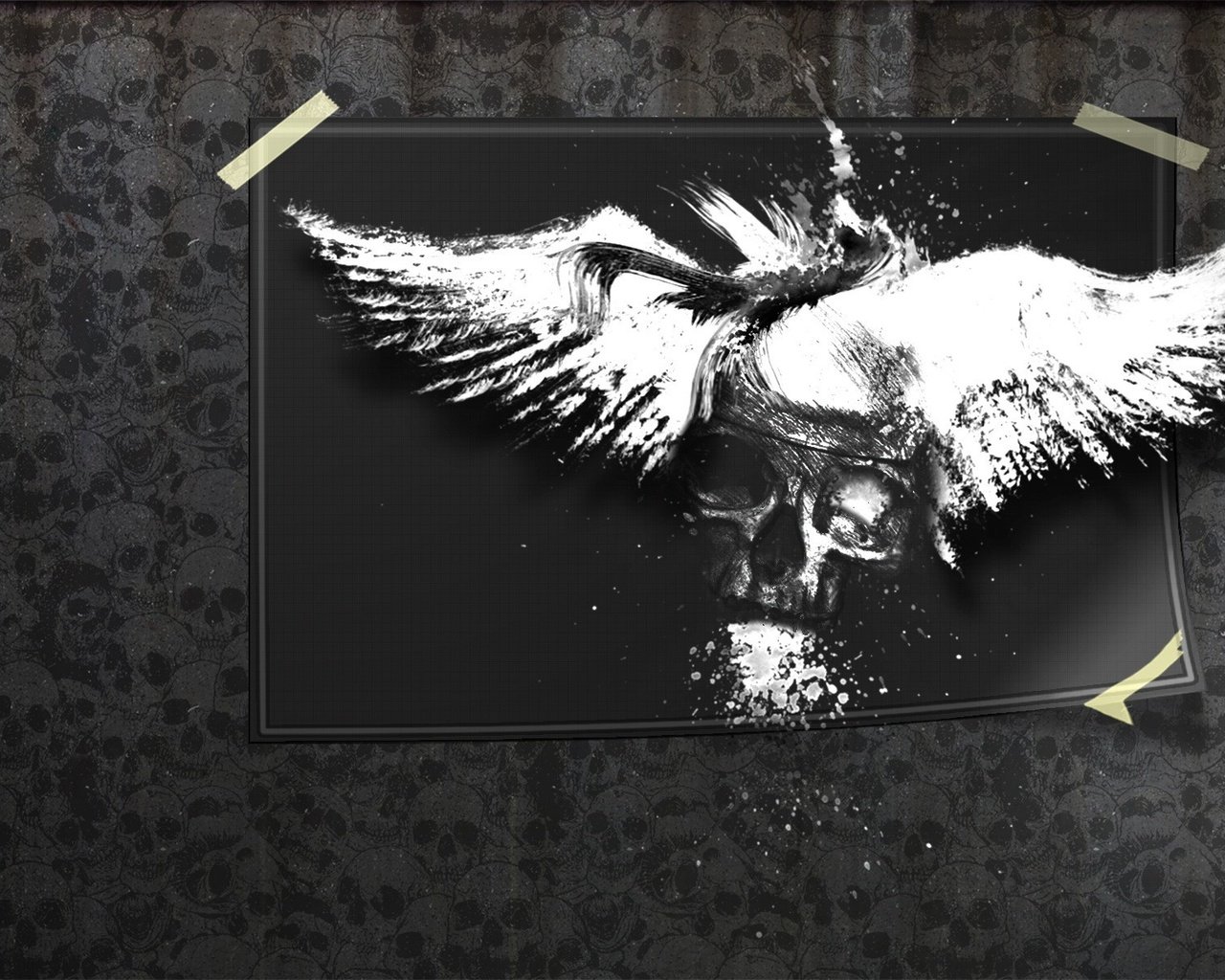Обои мрак, фото, череп, the darkness, photo, skull разрешение 1920x1200 Загрузить