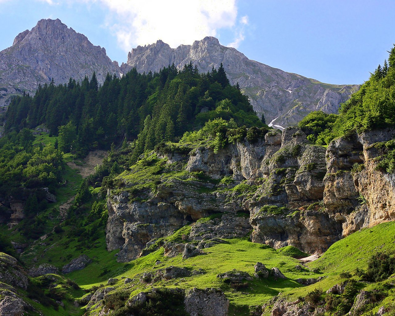 Обои деревья, горы, скалы, лес, ками, trees, mountains, rocks, forest, kami разрешение 1920x1200 Загрузить