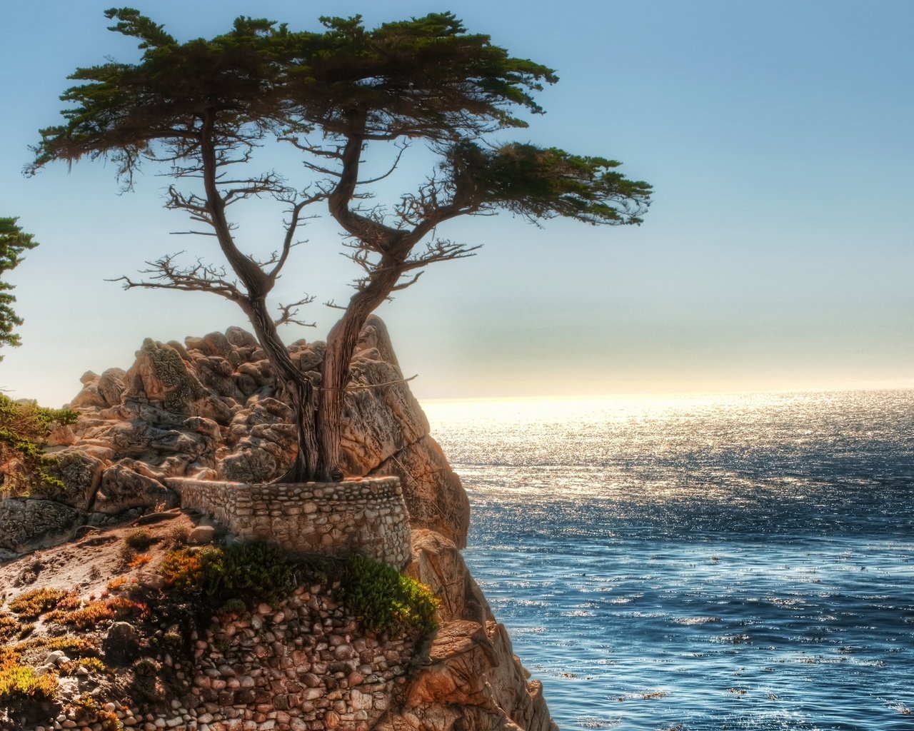 Обои скалы, дерево, океан, rocks, tree, the ocean разрешение 2560x1600 Загрузить