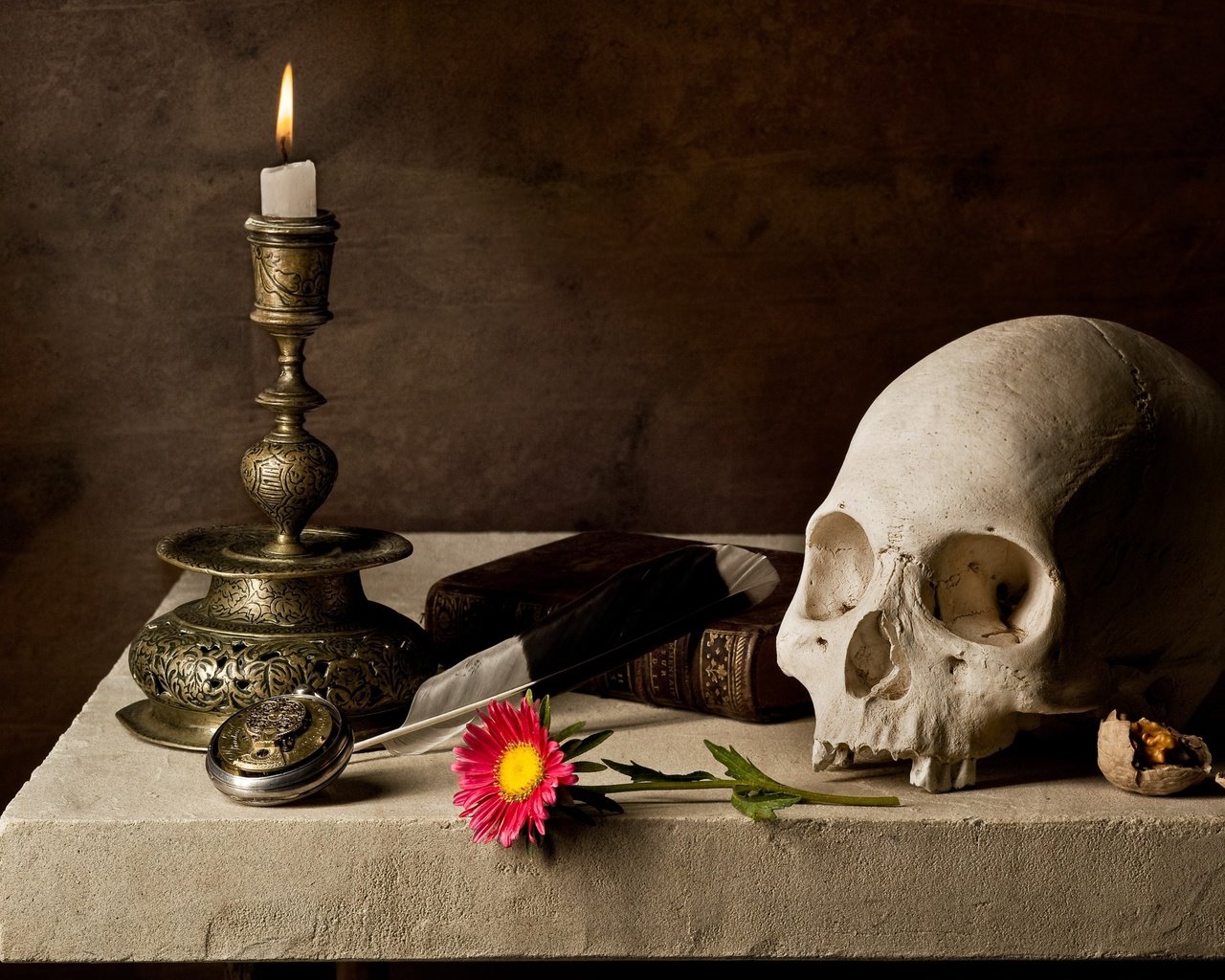 Обои череп, свеча, книга, skull, candle, book разрешение 4056x2830 Загрузить