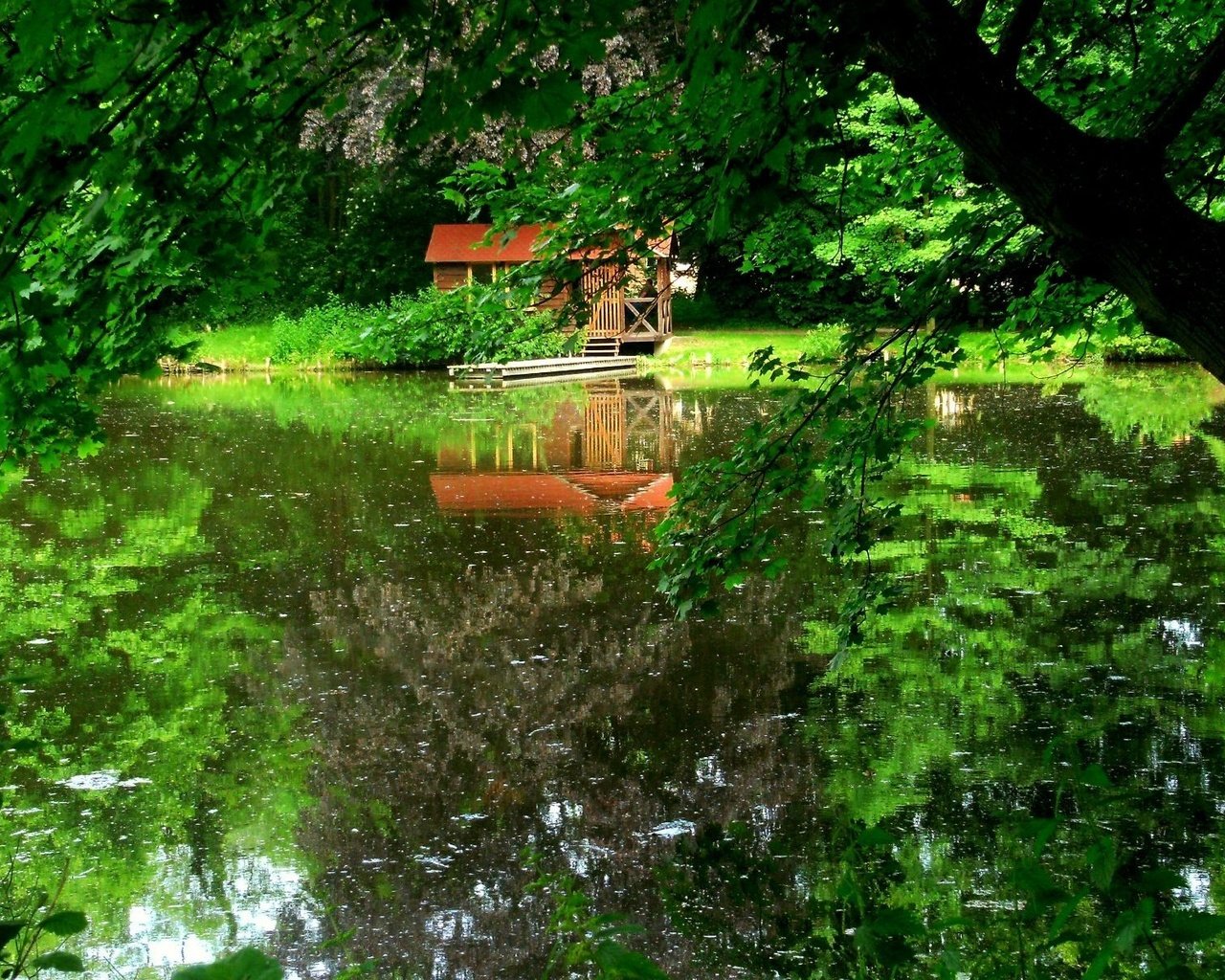 Обои деревья, озеро, dock, trees, lake разрешение 1920x1200 Загрузить