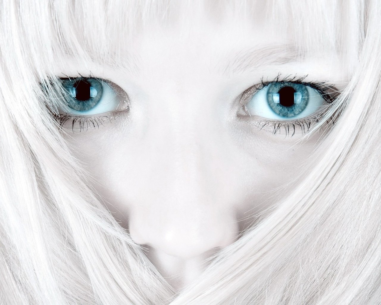 Обои глаза, белый, волосы, eyes, white, hair разрешение 1920x1200 Загрузить