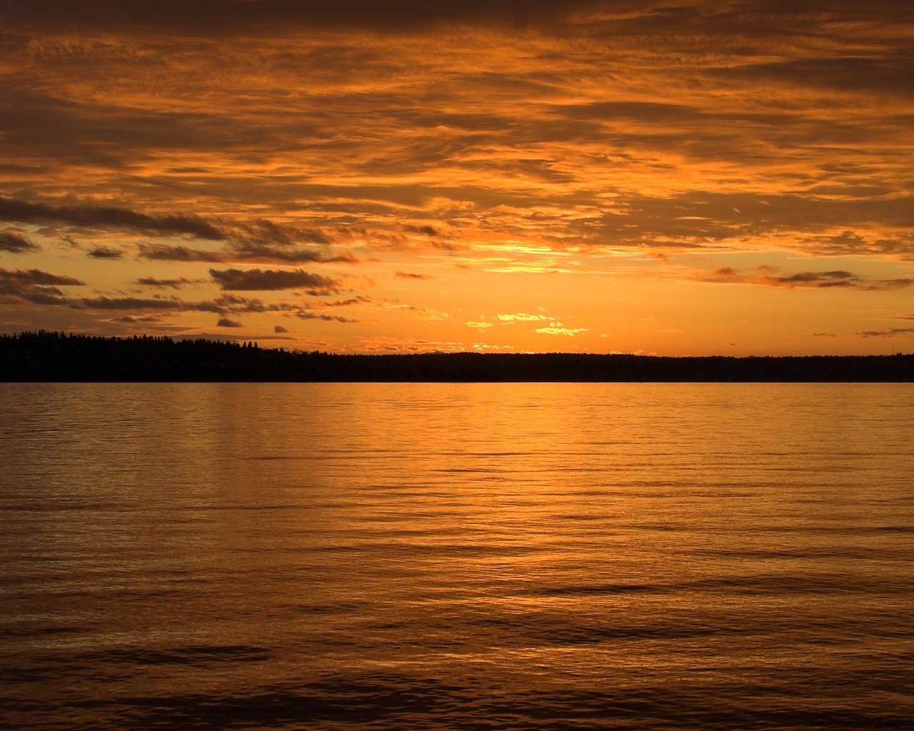 Обои небо, вода, берег, закат, the sky, water, shore, sunset разрешение 1920x1080 Загрузить