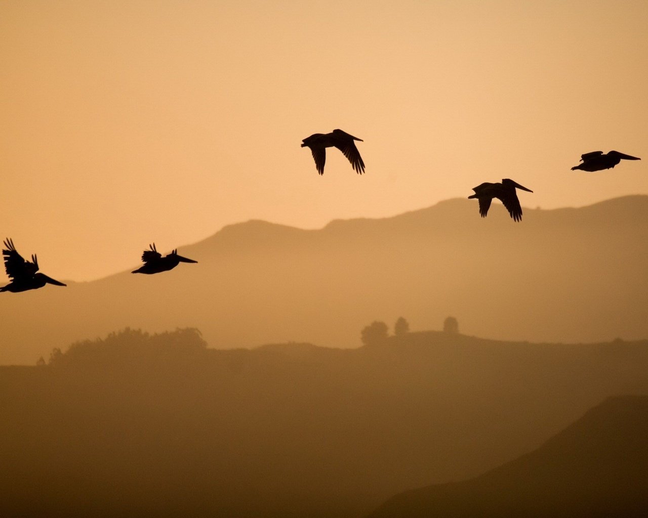 Обои холмы, полет, птицы, hills, flight, birds разрешение 1920x1440 Загрузить