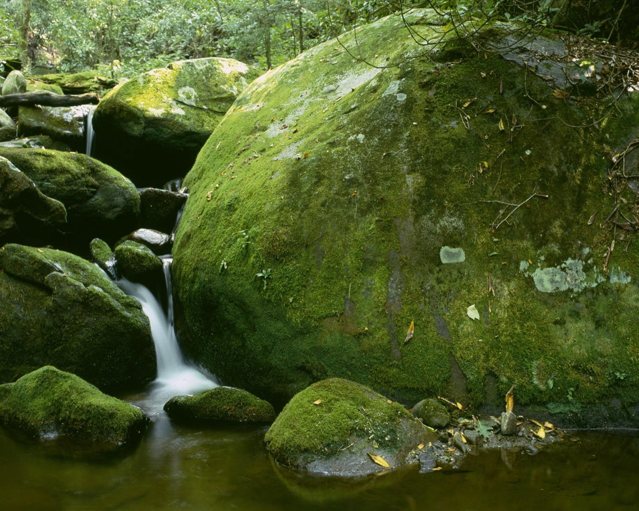 Обои камни, водопад, мох, stones, waterfall, moss разрешение 2560x1600 Загрузить