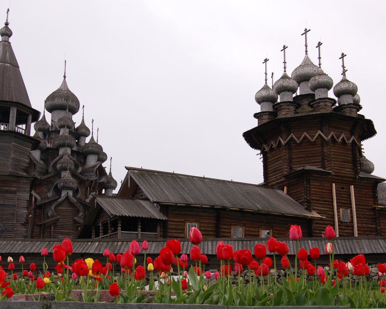 Обои цветы, крупный план, кижи, flowers, close-up, kizhi разрешение 3008x2000 Загрузить