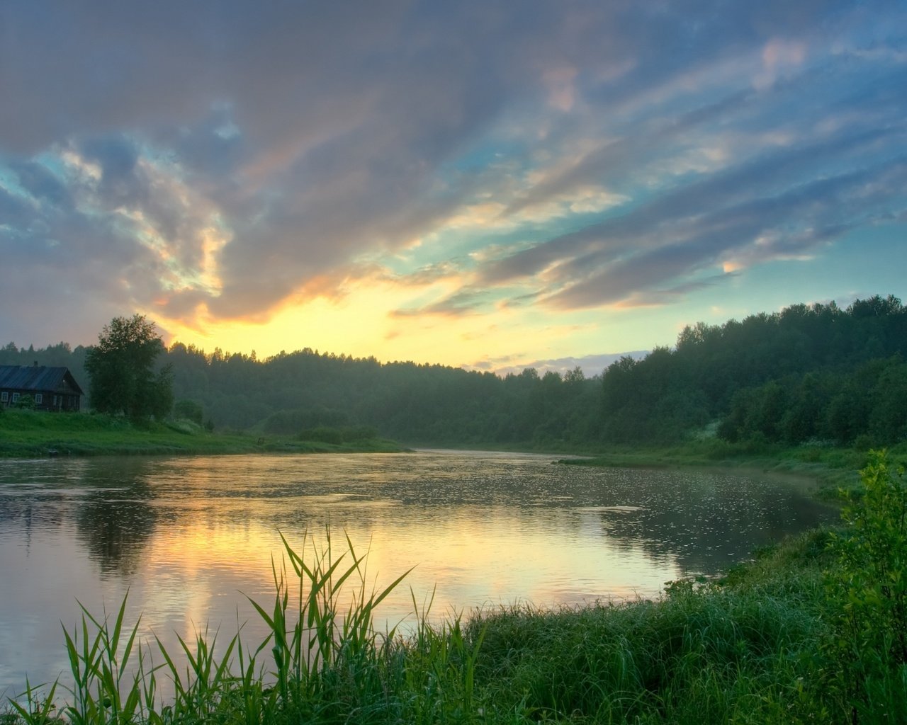 Обои трава, озеро, лес, отражение, grass, lake, forest, reflection разрешение 1920x1080 Загрузить