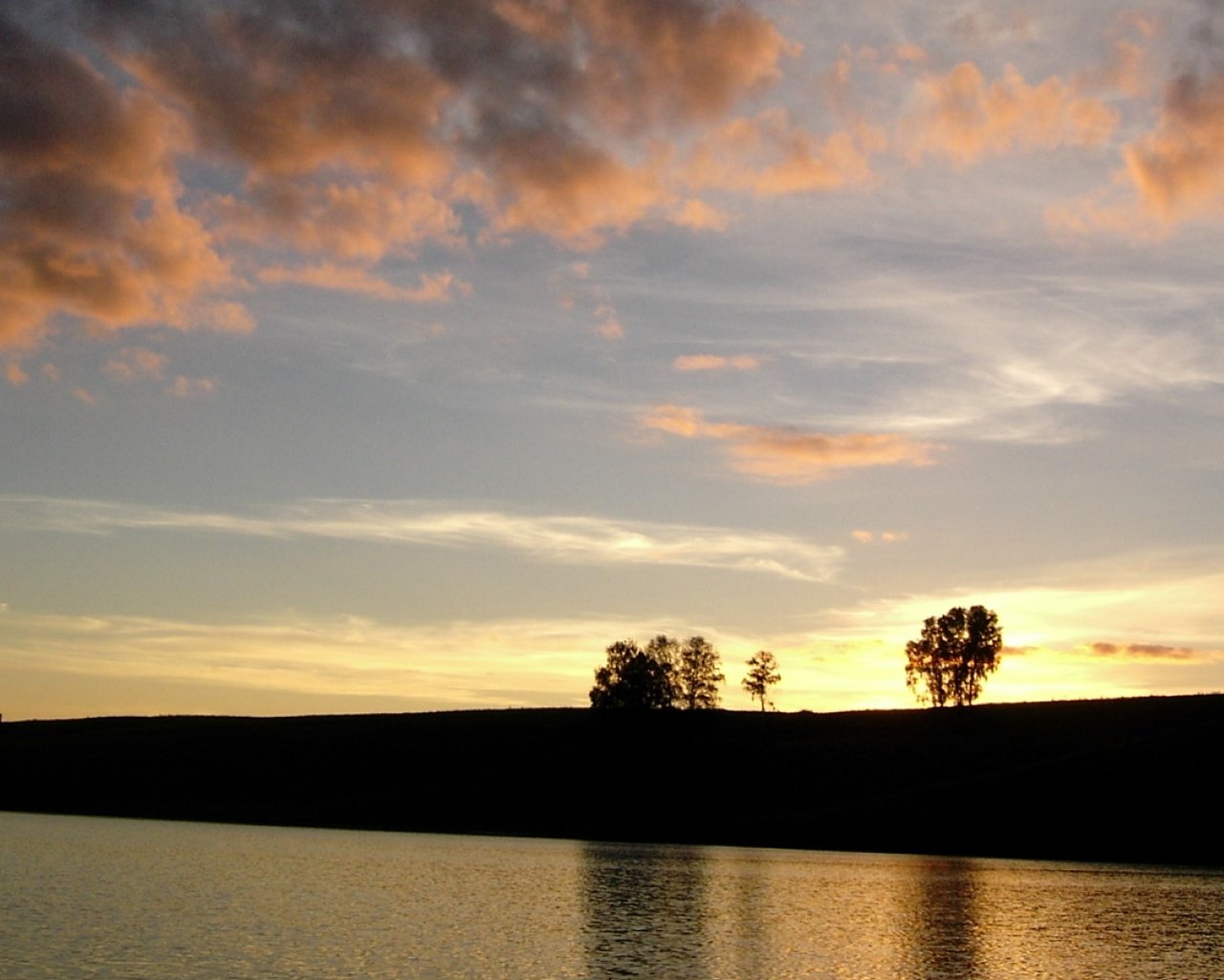 Обои облака, вечер, природа, дерево, закат, clouds, the evening, nature, tree, sunset разрешение 1920x1080 Загрузить