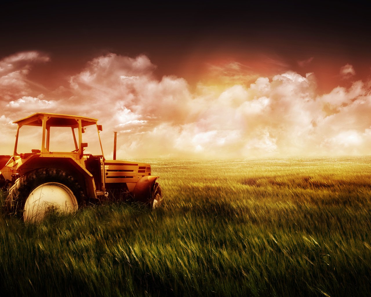 Обои небо, трава, поле, пшеница, трактор, the sky, grass, field, wheat, tractor разрешение 1920x1200 Загрузить