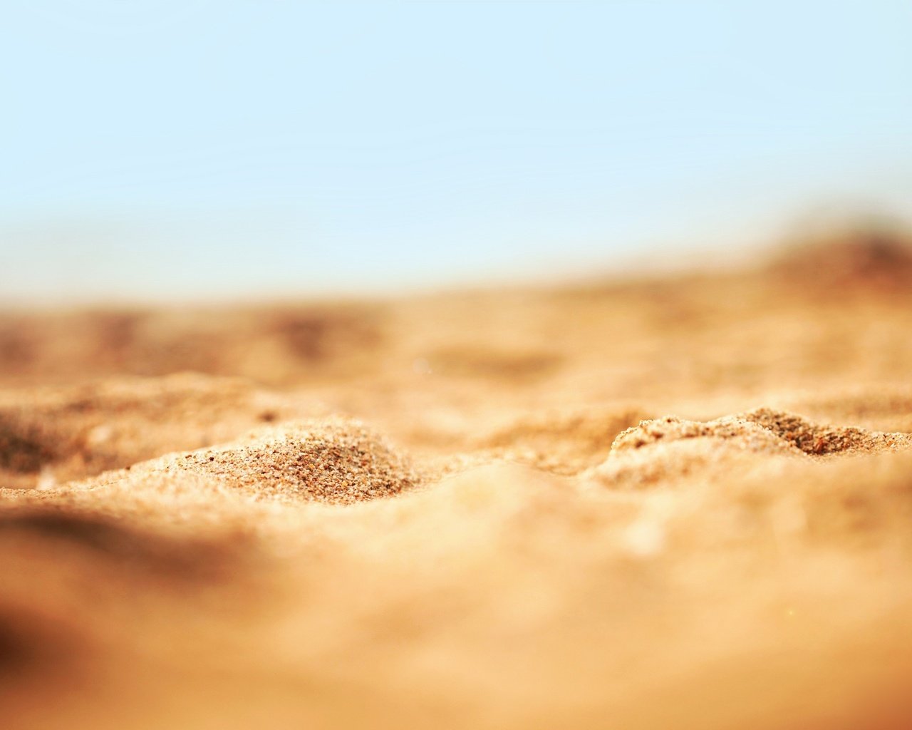 Обои природа, обои, макро, песок, пляж, песка, nature, wallpaper, macro, sand, beach разрешение 2560x1600 Загрузить