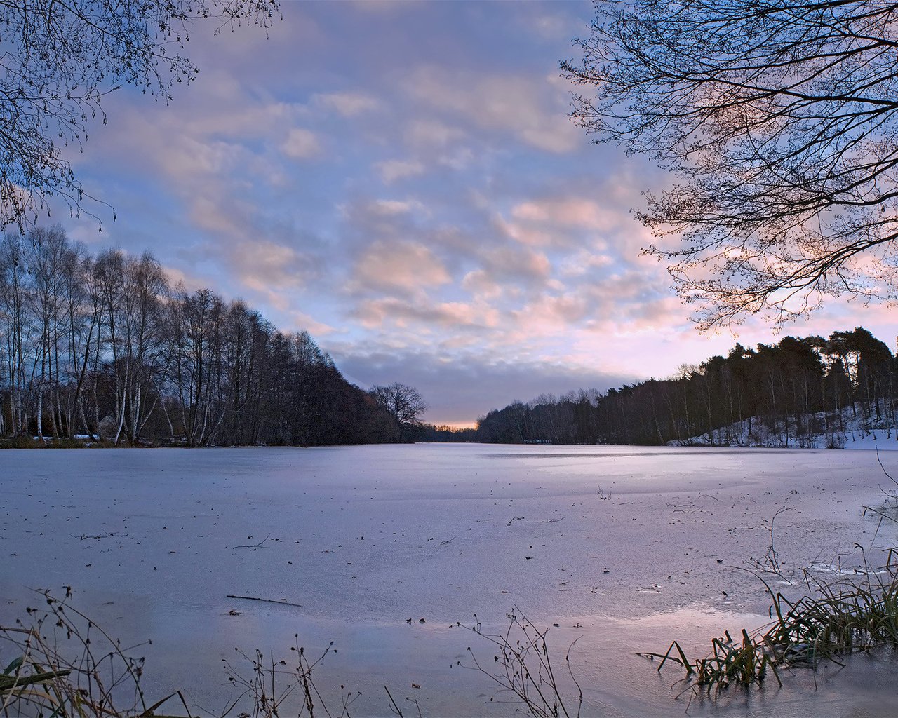 Обои деревья, река, природа, зима, наледь, trees, river, nature, winter, frost разрешение 1920x1200 Загрузить