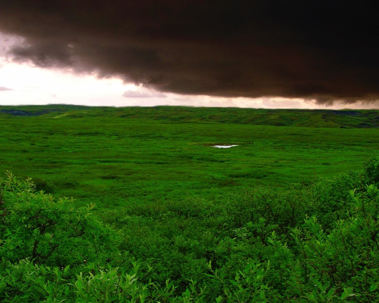 Обои трава, облака, буря, зелёный, поле, grass, clouds, storm, green, field разрешение 2732x1536 Загрузить