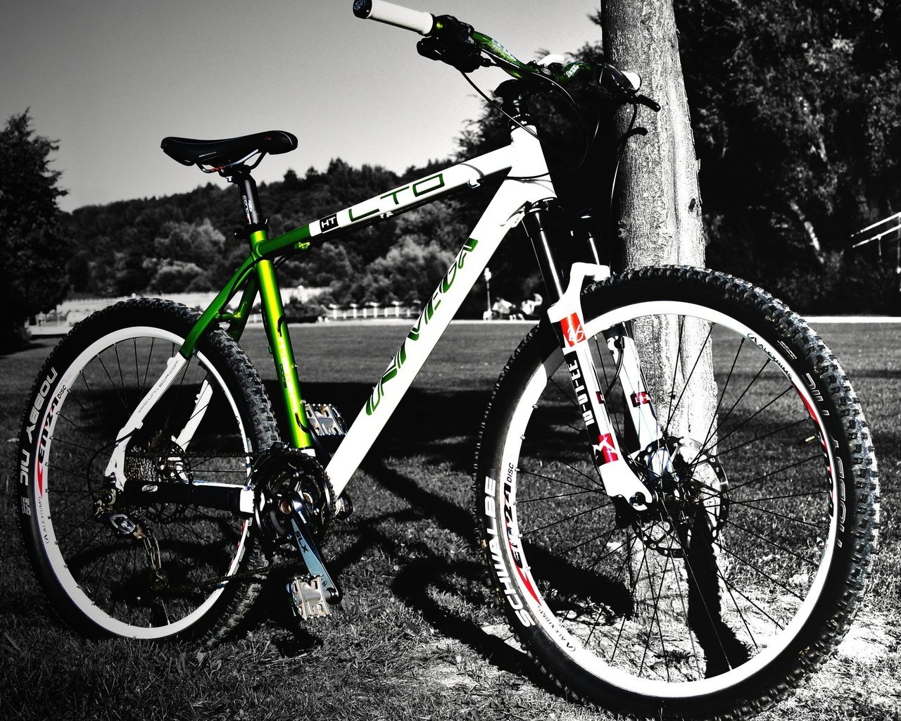 Обои дерево, велосипед, черно-белый фон, tree, bike, black-and-white background разрешение 2560x1600 Загрузить