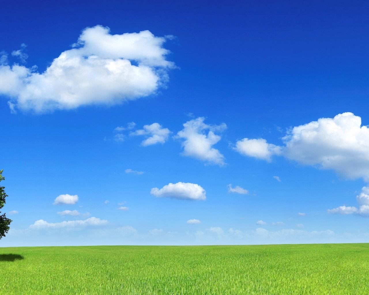 Обои облака, дерево, поле, горизонт, clouds, tree, field, horizon разрешение 3200x1200 Загрузить