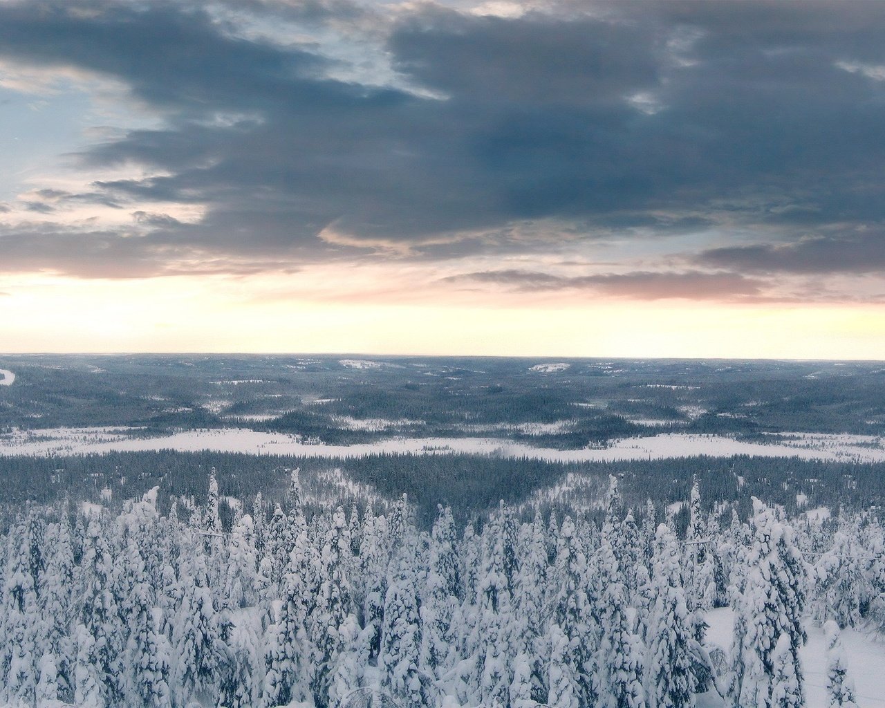 Обои облака, деревья, снег, лес, зима, clouds, trees, snow, forest, winter разрешение 1920x1200 Загрузить